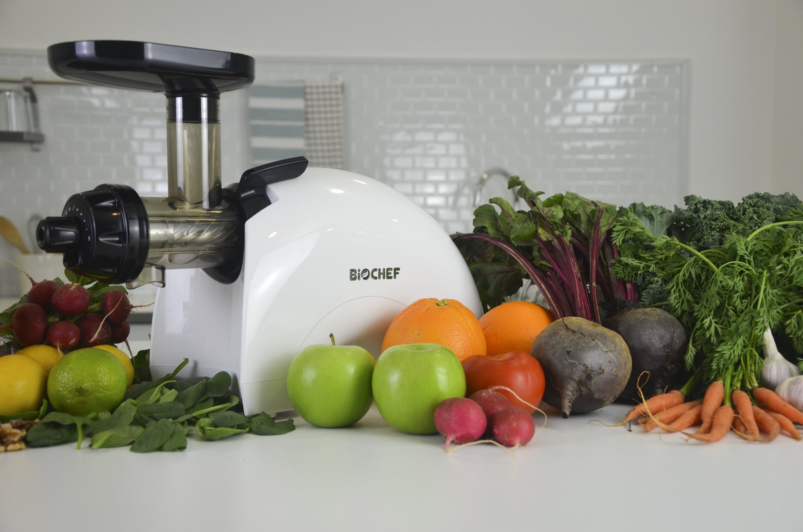 GeminiTwinGear, Cold Press, Masticating, Enzyme Rich Juicer, WHITE