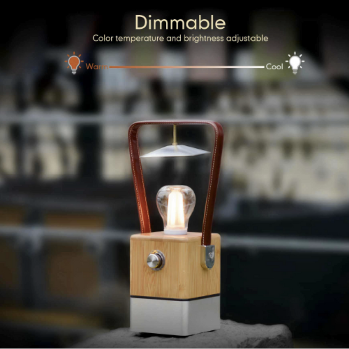 TRU De-LIGHT VIENNA Dimmable Desk Lamp - Lamp / Power Bank / Decoration All-In-One